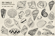 Seashells line art + Procreate, an Animal Illustration by Skliarova (Thumbnail 2 of 3)