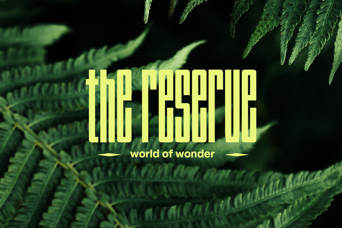 YNF Telegraph | Unicase sans serif, a Sans Serif Font by YNF (Photo 17 of 20)
