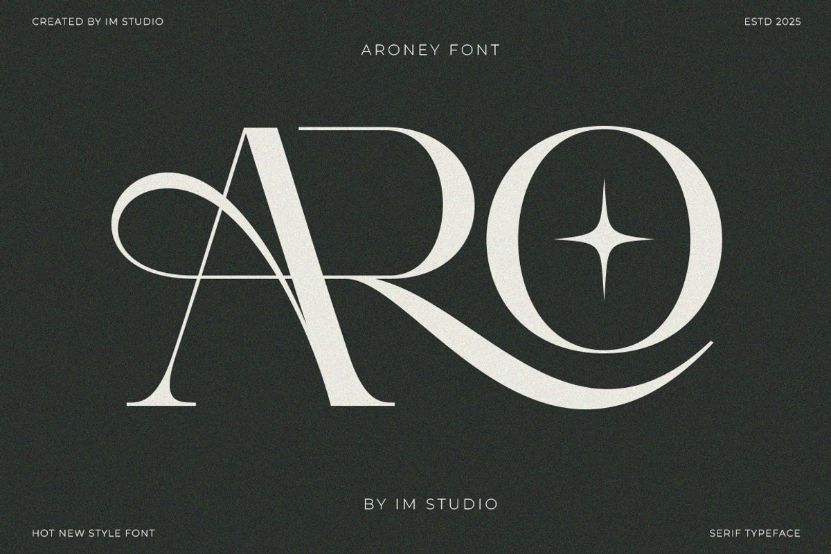 Aroney Family | 5 Style Fonts, a Serif Font by IM Studio (Photo 2 of 12)