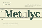 Gegisa - (54 Font Family), a Serif Font by Rotterlab Studio (Thumbnail 8 of 10)