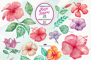 Watercolor Hibiscus Flowers, a Decorative Illustration by Graphobia (Thumbnail 2 of 9)