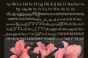Mevara - Elegant Serif with Flourish, a Serif Font by Glyphofik x GudPap (Thumbnail 14 of 15)