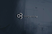 Serpentine Logo, a Branding & Logo Template by GLXY (Thumbnail 2 of 4)