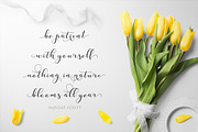 Nafigat Script, a Script Font by Stipline Studios (Thumbnail 10 of 14)