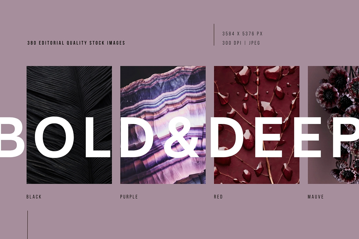 Dark Floral & Mineral Stock Photos, a Nature Photo by Tale.Haus (Photo 2 of 17)