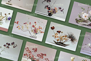 45 Japanese Ikebana Flowers Photos, a Nature Photo by Incomelion (Thumbnail 6 of 13)