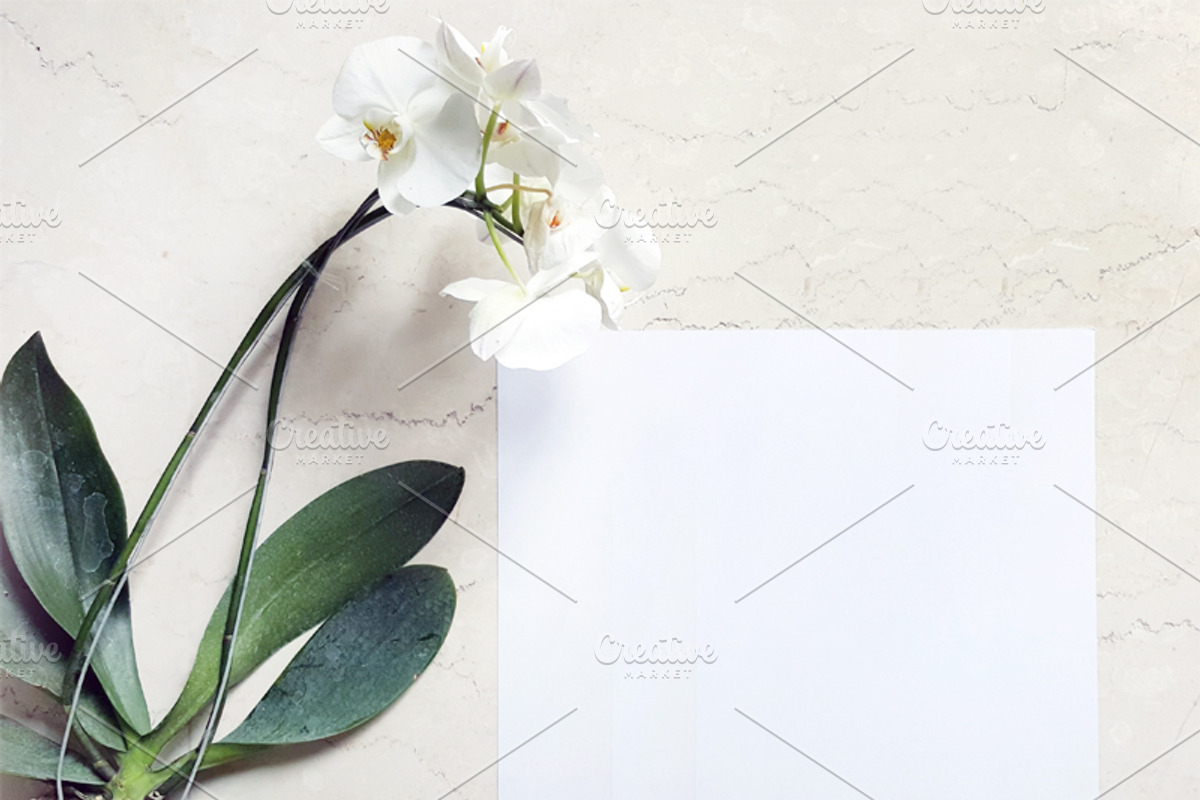 White Hat and Flower Mockup, a Hat Mockup by littleprince (Photo 3 of 3)