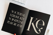 Mystequ New Modern Display, a Serif Font by Storytype Studio (Thumbnail 9 of 15)