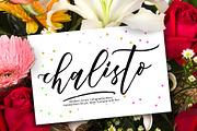 Chalisto Script, a Script Font by joelmaker (Thumbnail 1 of 10)