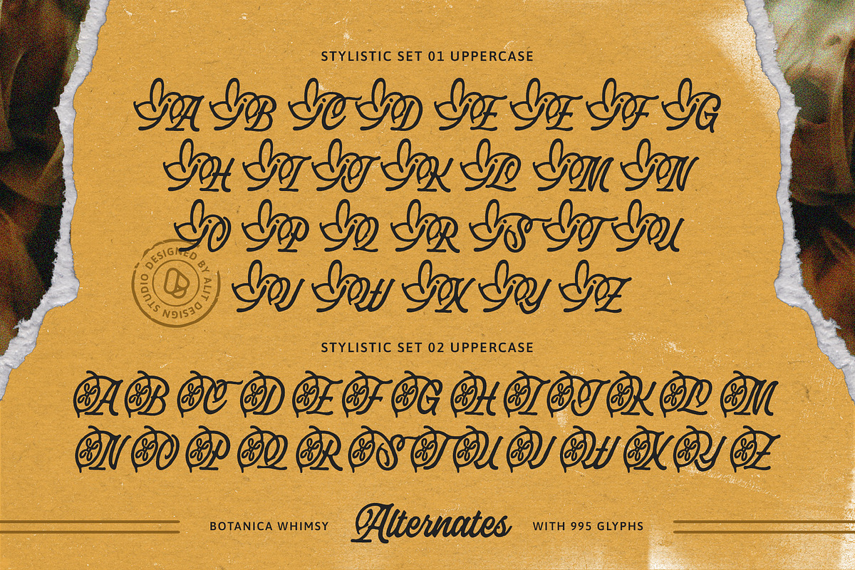 Botanica Whimsy Typeface, a Script Font by alit design (Photo 8 of 20)