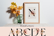 Everlasting Fall Pressed Wildflowers, a Seasonal Illustration by Catch the Dream Art (Thumbnail 8 of 13)