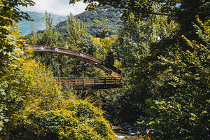 Wooden bridge in Cabrales nature, an Architecture Photo by SkyNext