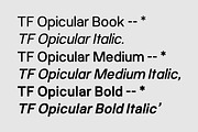 Opicular - Starter Series, a Sans Serif Font by RKS-Studio (Thumbnail 3 of 11)