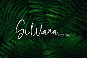 Moltena Script Font, a Script Font by NTC Graphic (Thumbnail 7 of 9)