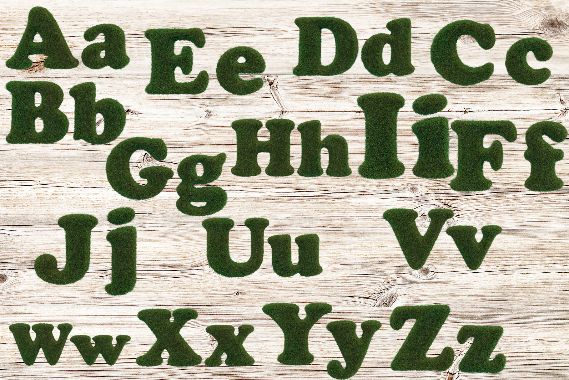 Grass alphabet, a Nature Photo by Tempera