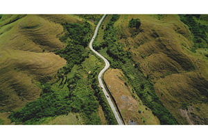 Winding road crossing lush green, a Nature Photo by Goinyk