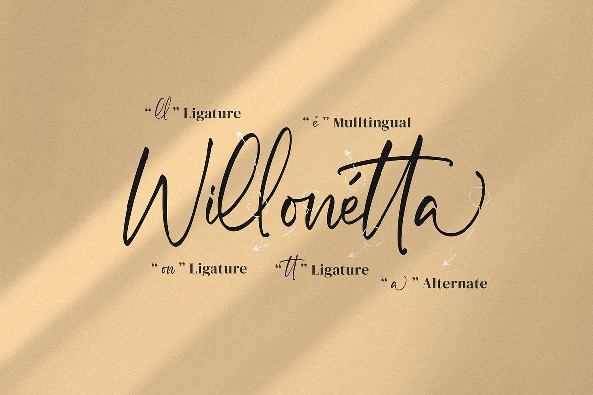 Micqallena, a Script Font by Integritype Studio (Photo 14 of 15)