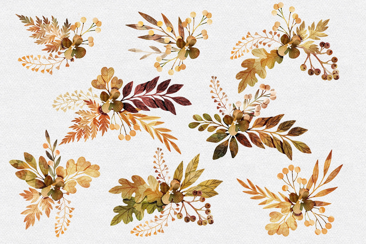 Botanical Bundle Nr 2 | Fall Edition, a Seasonal Illustration by Helga Wigandt (Photo 5 of 9)