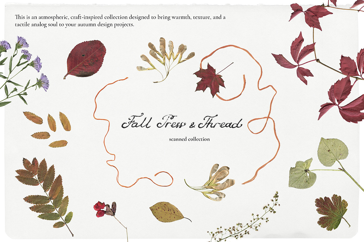 Fall Press & Thread - Collage Kit, an Object Graphic by Watercolor_Ma (Photo 5 of 10)