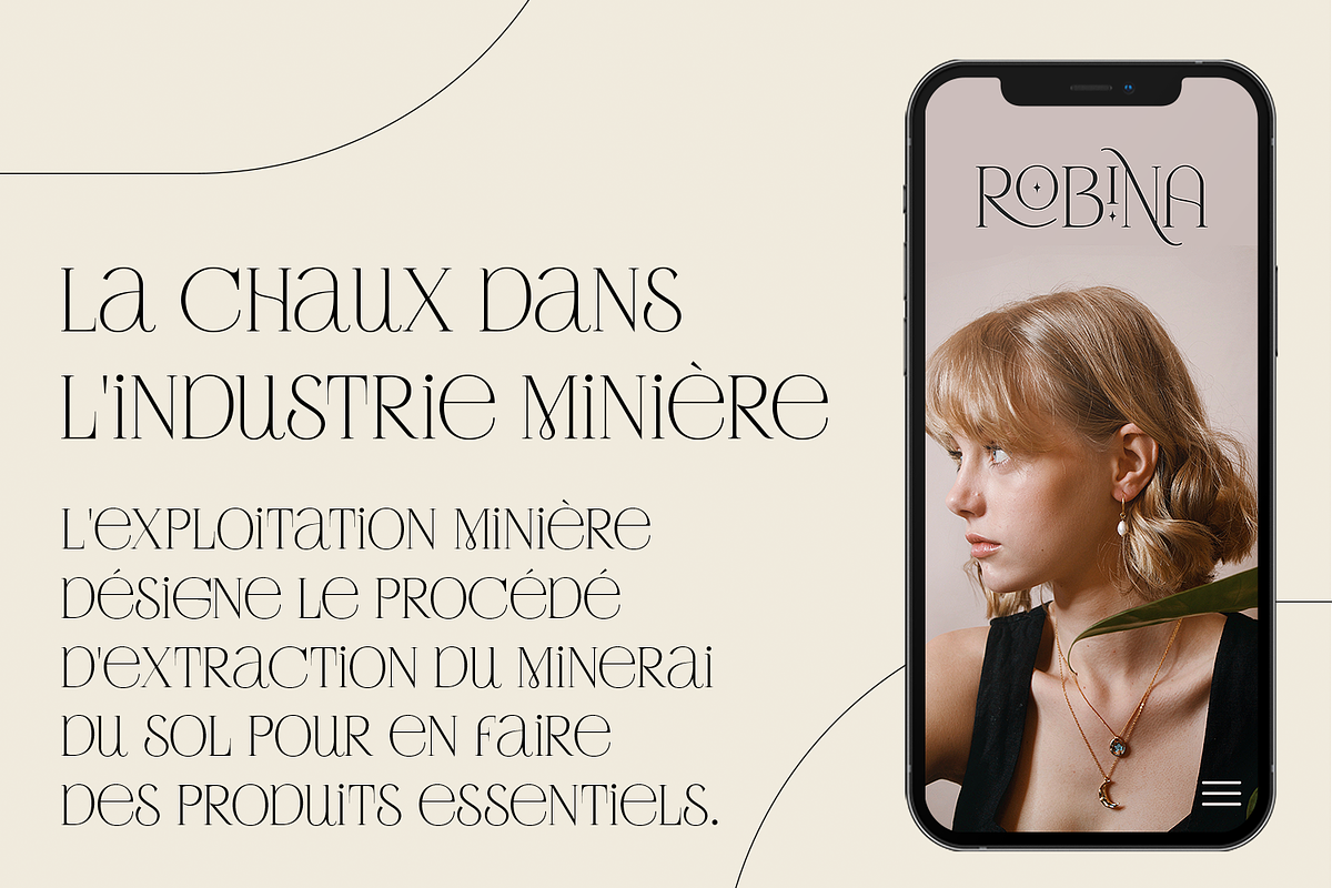 Rotterburg Stylish Display Font, a Serif Font by Typetemp Studio (Photo 8 of 20)