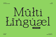 CS Victoria Drawn, a Serif Font by Craft Supply Co. (Thumbnail 6 of 8)