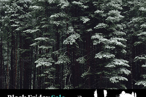 Winter forest featuring snow, winter, and forest