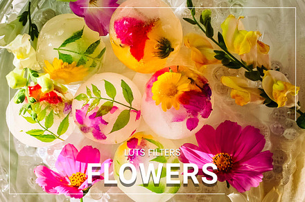 30 Flowers LUT Collection