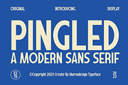 Pingled - A Modern Sans Serif, a Sans Serif Font by Marvadesign (Thumbnail 1 of 7)