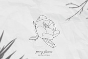 Peony flower collection, an Illustration by Maria's little shop (Thumbnail 1 of 7)