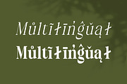 Mellino, a Serif Font by Nurul_kamal (Thumbnail 10 of 10)