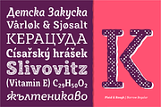 Sybilla Multiverse: Plaid + Rough, a Slab Serif Font by Karandash (Thumbnail 6 of 7)