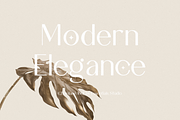 Chovilane Signature Austine Duo Font, a Sans Serif Font by Essentials Studio (Thumbnail 8 of 10)