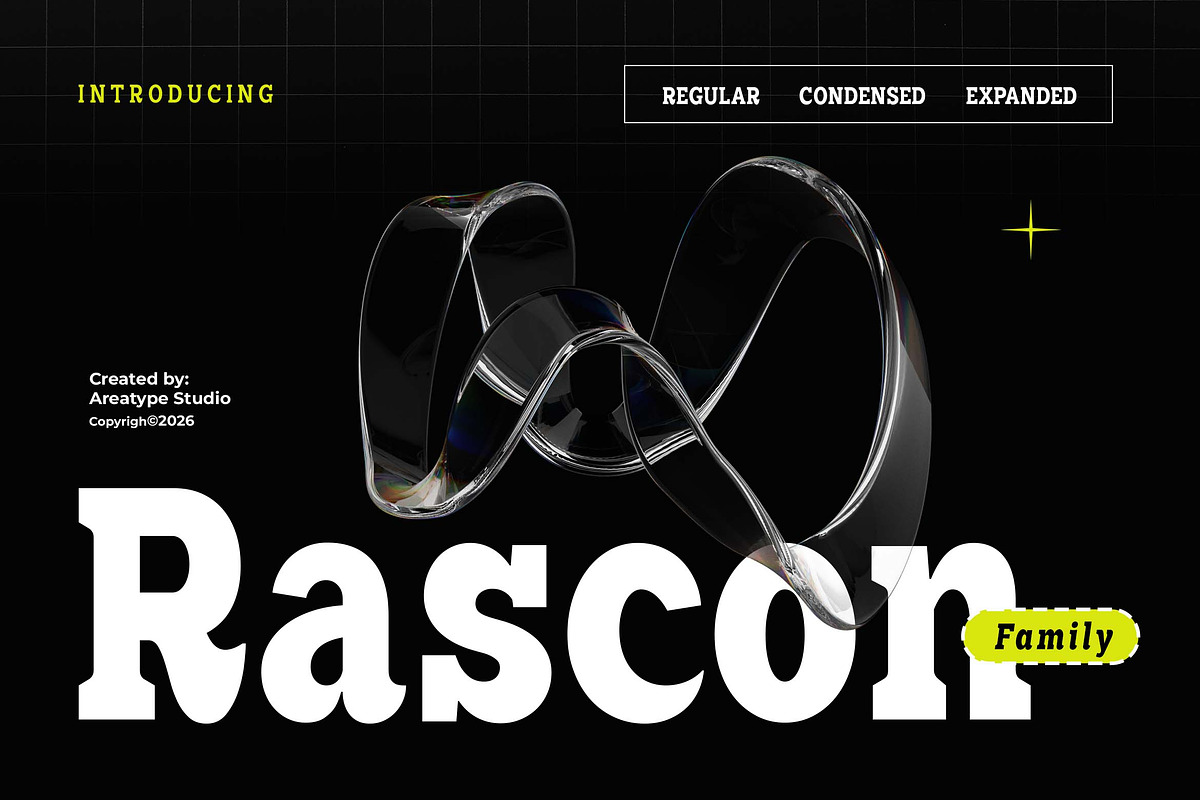 Rascon, a Slab Serif Font by Areatype (Photo 1 of 11)