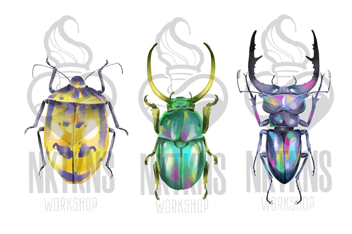 Watercolor Clipart Beetle Insect art, a Decorative Illustration by NKTKNS (Photo 2 of 7)