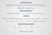 Pointone | Monoline Script, a Script Font by Lemonthe (Thumbnail 6 of 6)