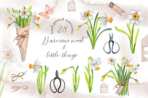 Narcissus mood & little things