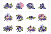Blueberries watercolor clip art, a Food Illustration by Ann Astro (Thumbnail 8 of 13)