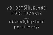 Rampiro - Minimalist Sans Serif, a Sans Serif Font by Salamahtype (Thumbnail 7 of 10)