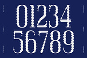 Acelon Distort, a Serif Font by Craft Supply Co. (Thumbnail 4 of 8)