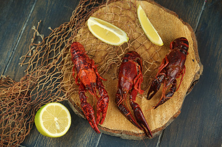 boiled craw fish on kitchen board wi