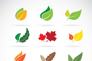 Set of color autumn fallen leaves., an Icon by yod67