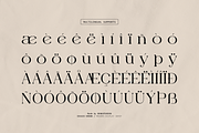Diggie Brown | Modern Display Serif, a Serif Font by Denustudios (Thumbnail 12 of 12)
