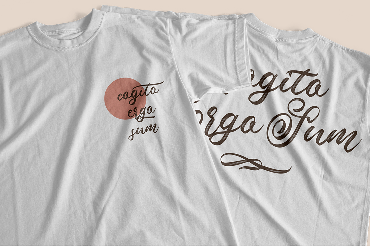 Valleita Script, a Script Font by Colllab Studio (Photo 3 of 19)
