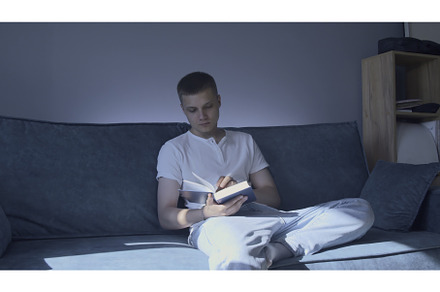 Young man is sitting on sofa and, a Person Photo by Media Whale Stock
