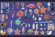 Sea World Vintage Illustrations, an Object Graphic by Lilithcollageart (Thumbnail 4 of 7)