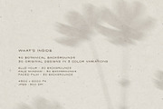 Diaphane - Blurry Floral Backgrounds, a Background Graphic by alonahaidash (Thumbnail 9 of 16)
