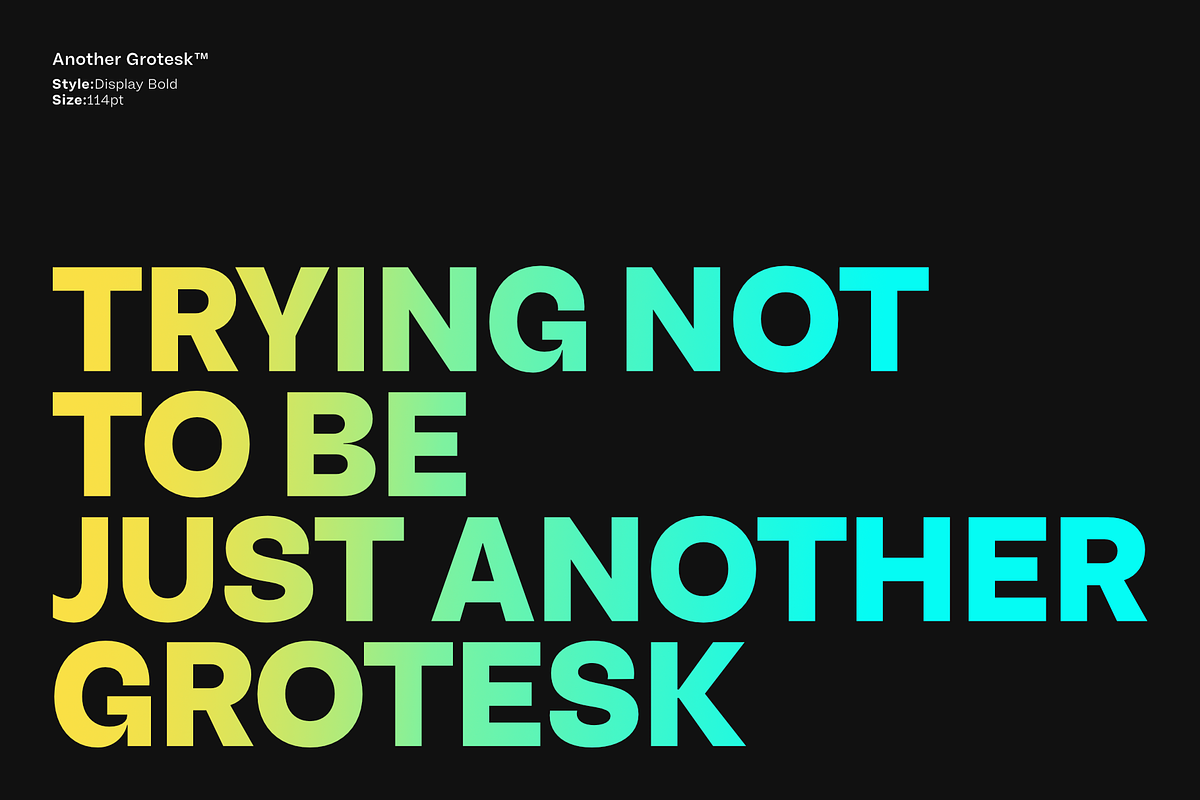 Another Grotesk Display Family, a Font by Bukva™ Type Foundry (Photo 2 of 15)