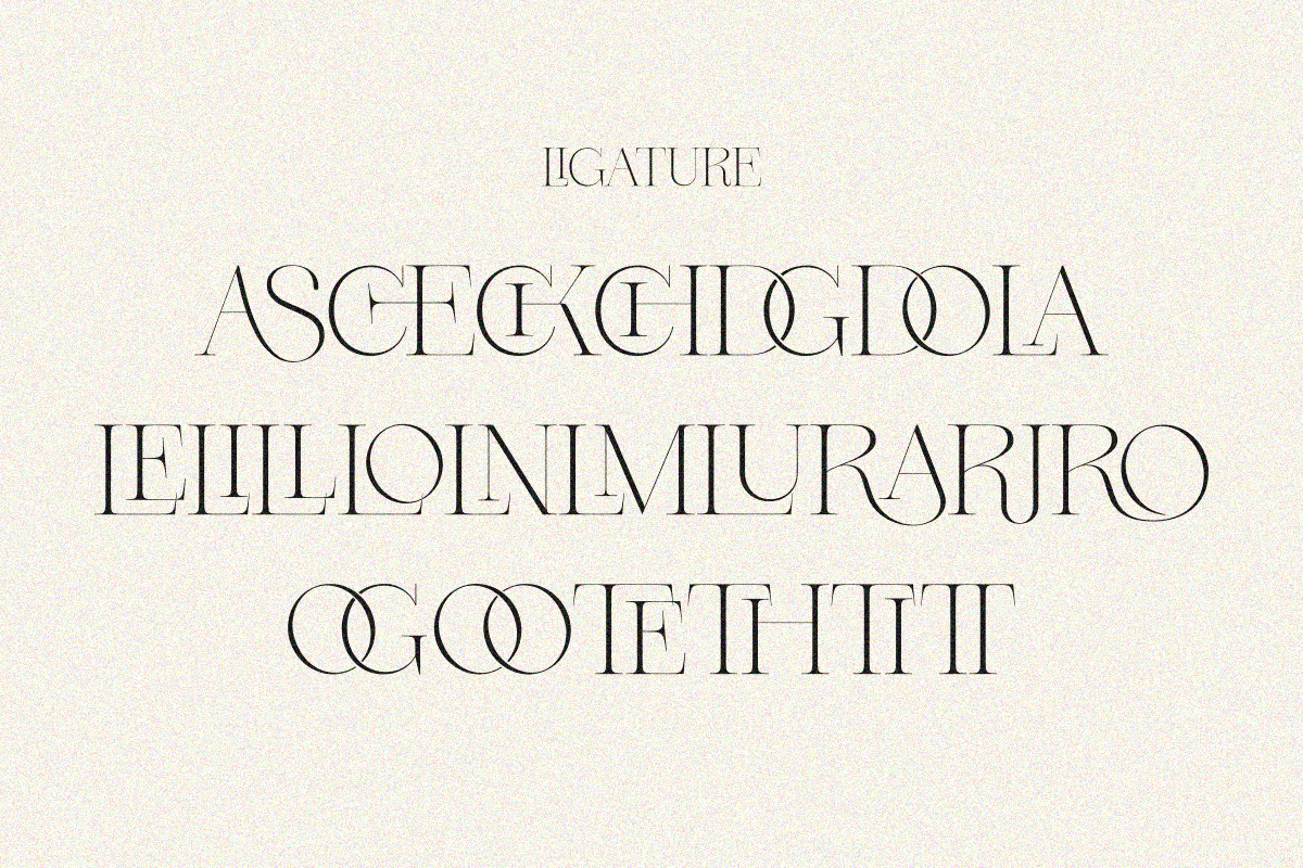 Dary, a Serif Font by zaaintype (Photo 6 of 10)