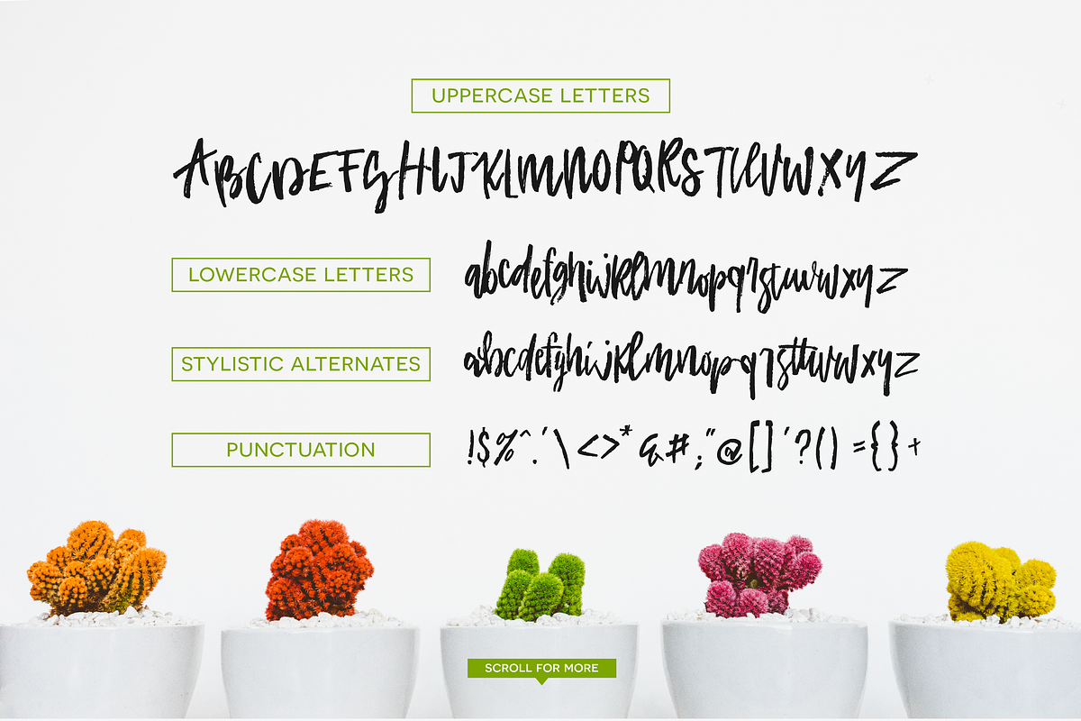Academy House + Logos, a Script Font by Flycatcher Design (Photo 9 of 9)