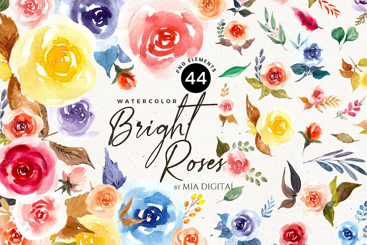Bright Roses Watercolor Elements, an Illustration by Mia Digital (Photo 1 of 4)